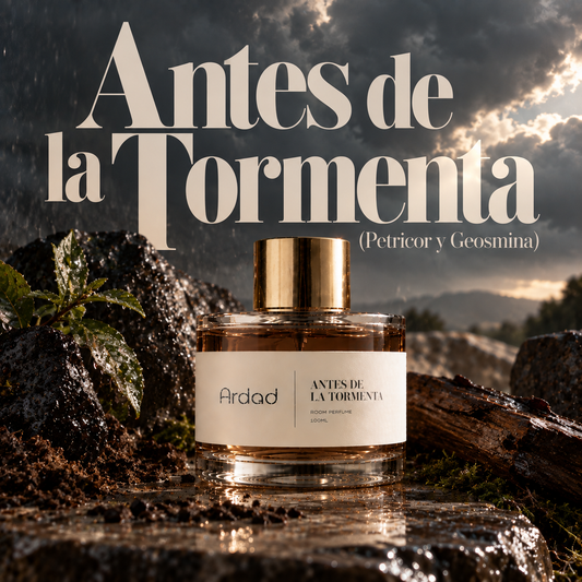 ANTES DE LA TORMENTA